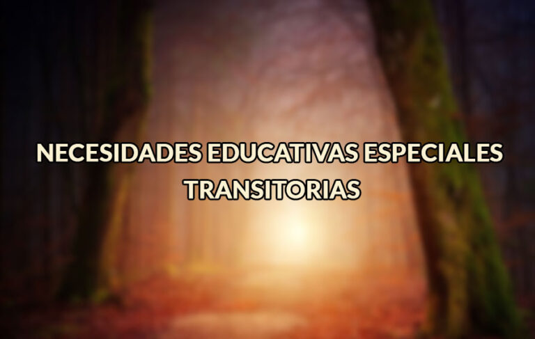 Necesidades Educativas Especiales Transitorias